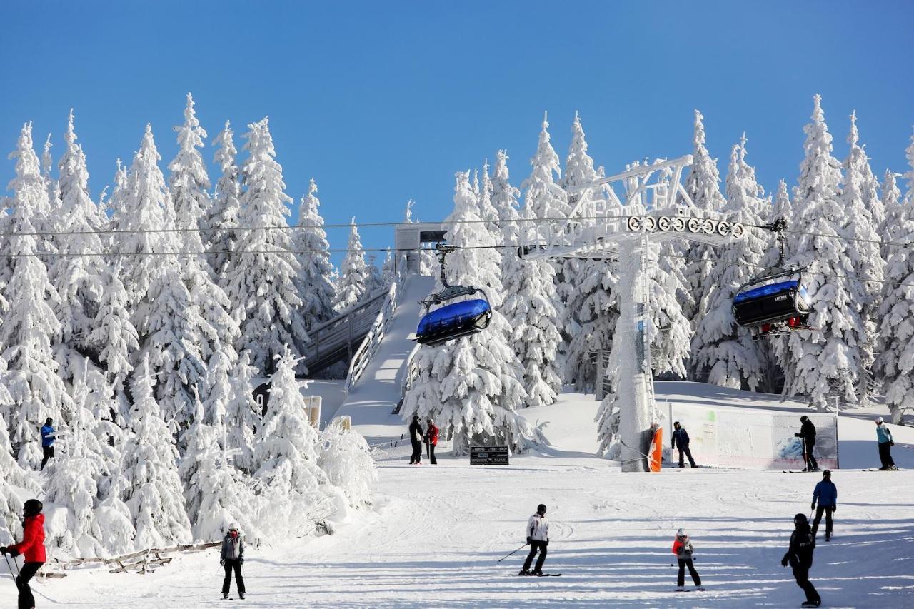 Apartman Dante Spindleruv Mlyn Apartment Exterior photo